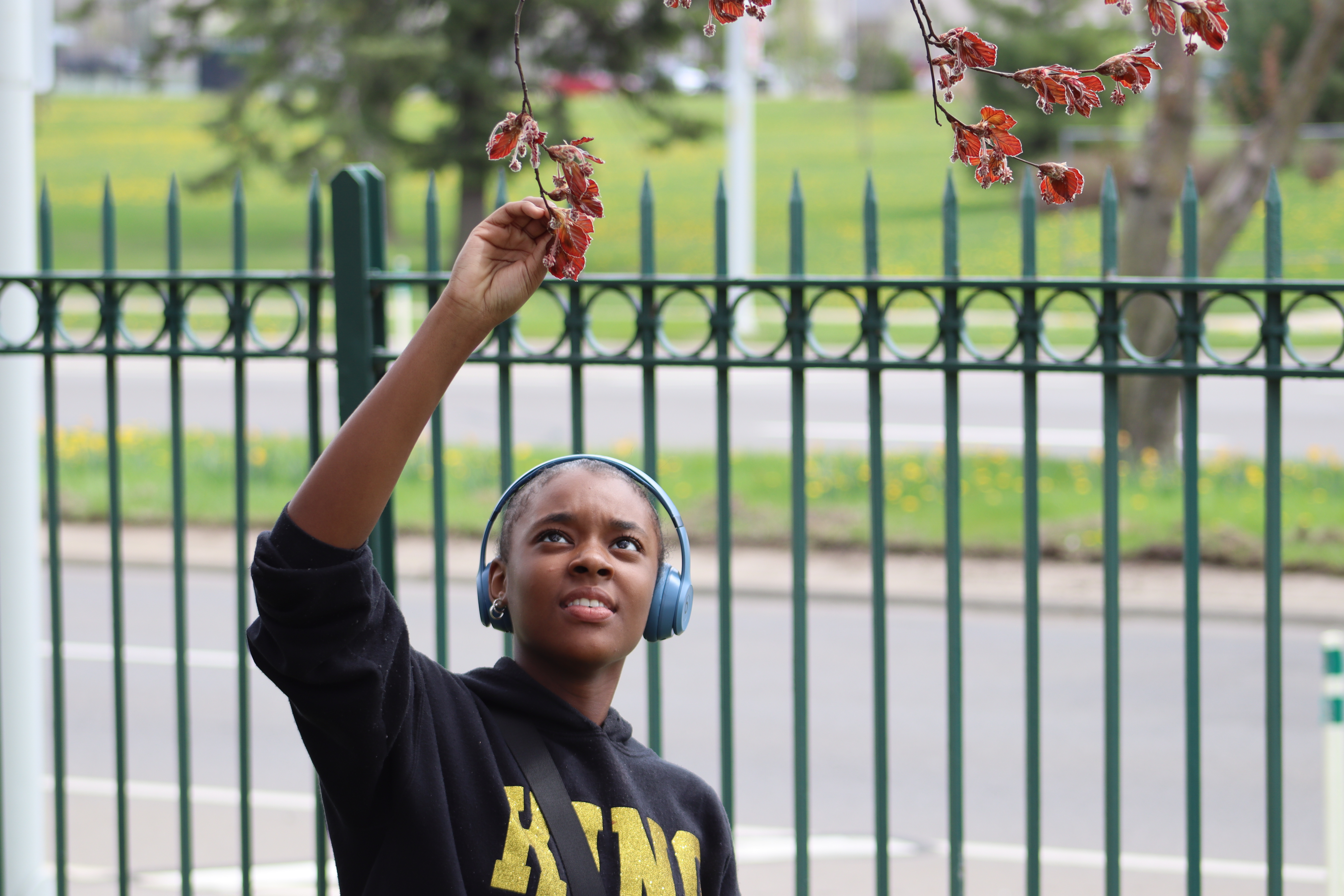 Photo Credit Manaida G. 7792