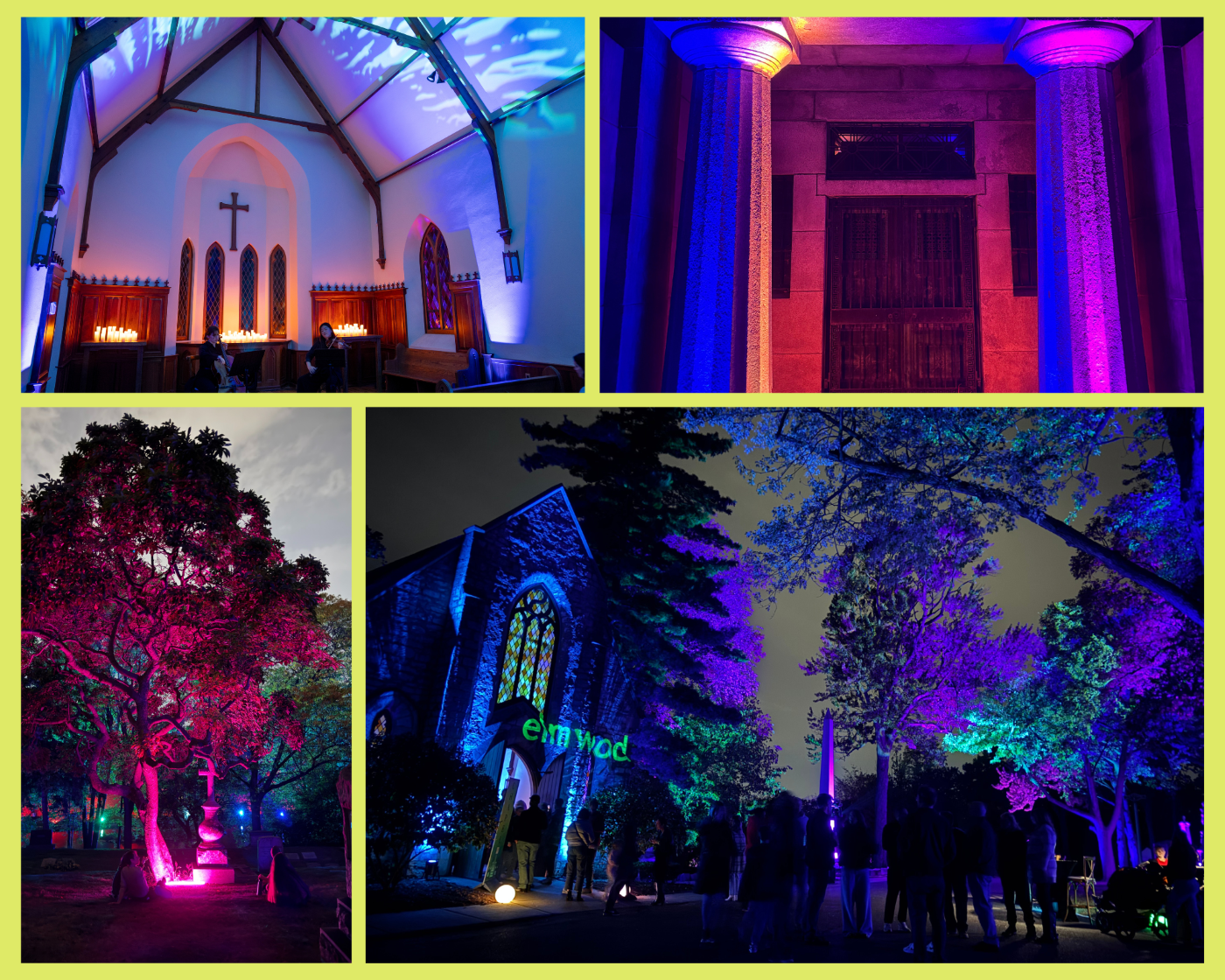 collage for email newslettr smaller